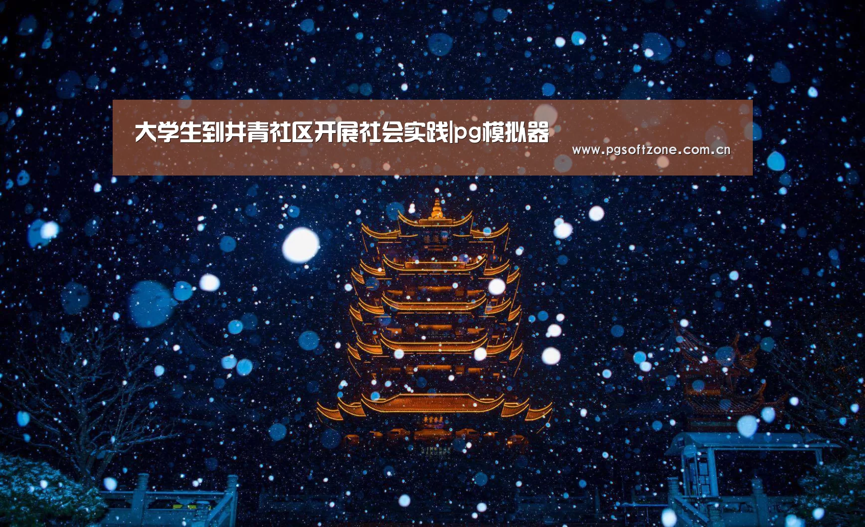pg模拟器